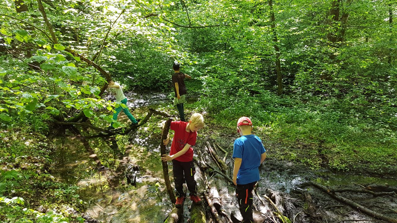 Wald-Actiontag des Förderverein im Mai 2017