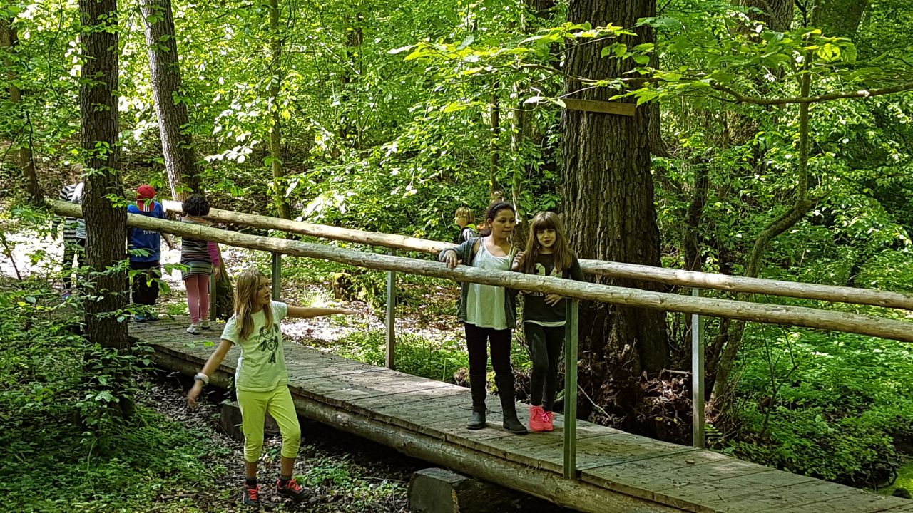 Wald-Actiontag des Förderverein im Mai 2017